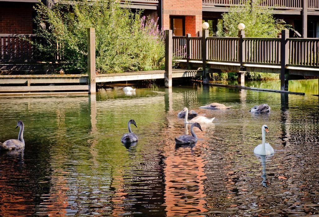Reading Lake Hotel Екстер'єр фото